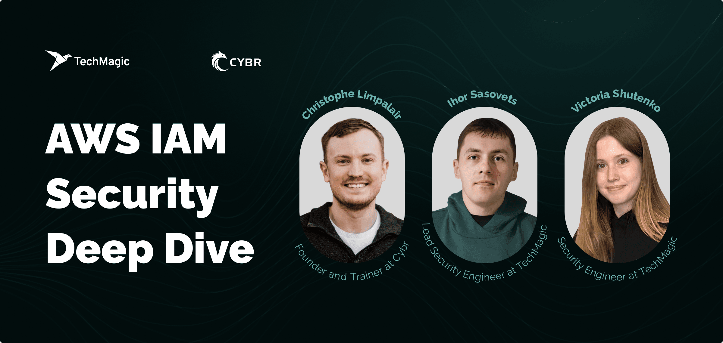 About the Webinar